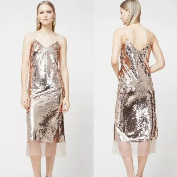 Sachin + Babi | Dresses | Sachin Babi Dolly Gold Sequin Organza Slip Dress Nwt | Poshmark Sachin + Babi | Dresses | Sachin Babi Dolly Gold Sequin Organza Slip Dress Nwt | Poshmark
